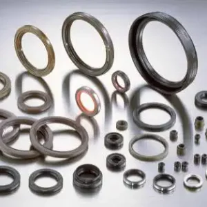 Oil Seals